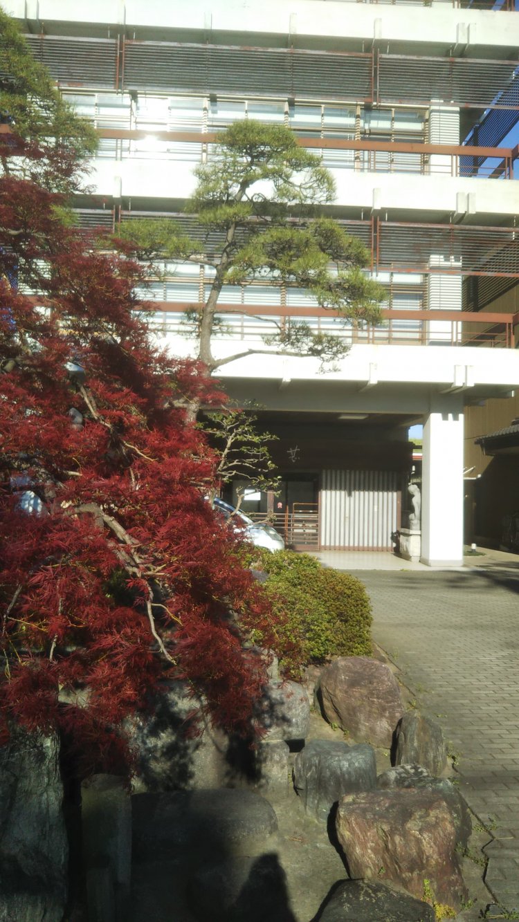 第1作で博とさくらの披露宴を開いた料亭「川甚」。会場内部はセットだが、たこ社長がカブで突っ込んだ玄関は現存。