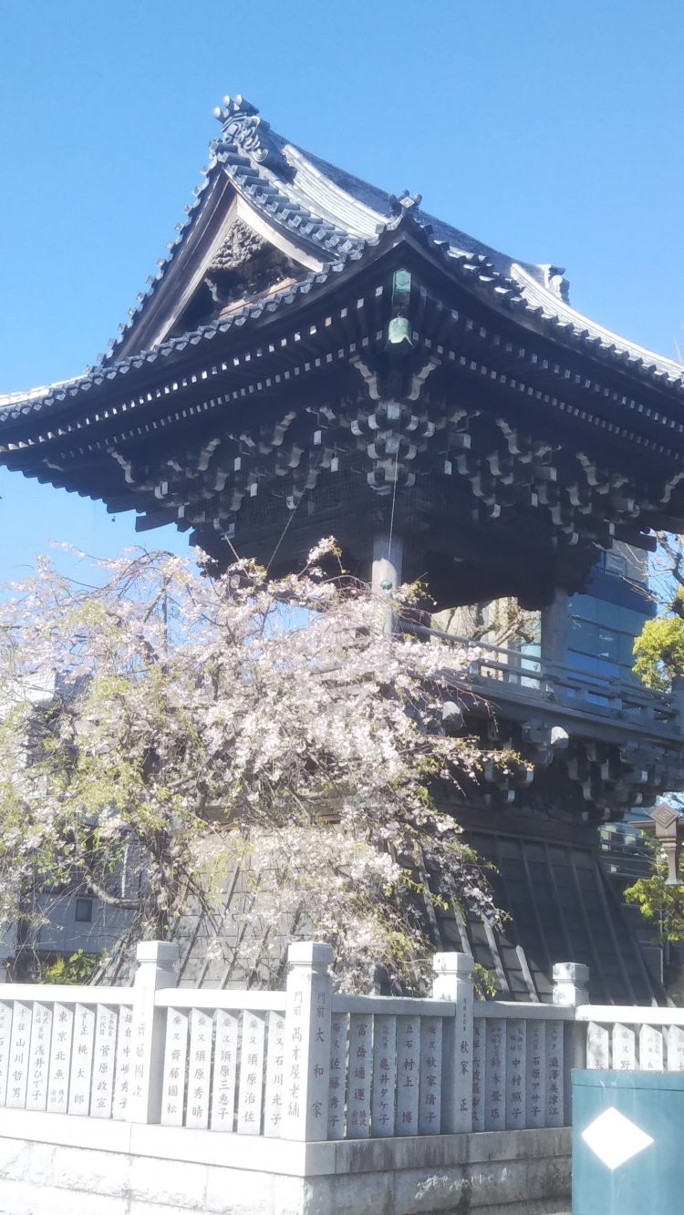 題経寺の鐘楼。鐘をつくのは源公の日課。夕焼けに染まった様子がまた絵になるんです。