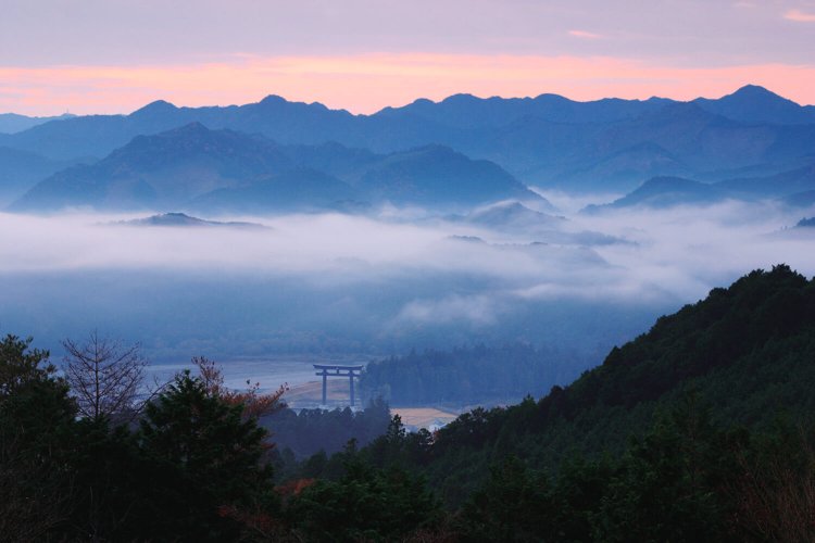 三軒茶屋跡そばの枝道にある展望台から望む大斎原の大鳥居。