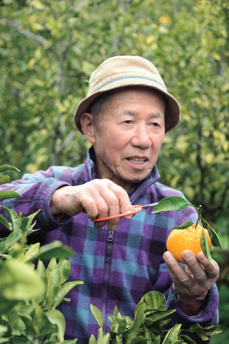 ミカン栽培の楽しさ難しさをとうと うと語る『紀州 原農園』の原さん。