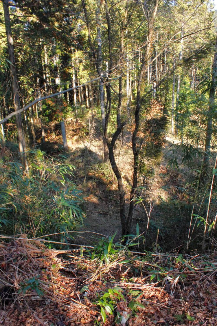 二ノ丸から北側の空堀を見下ろす。