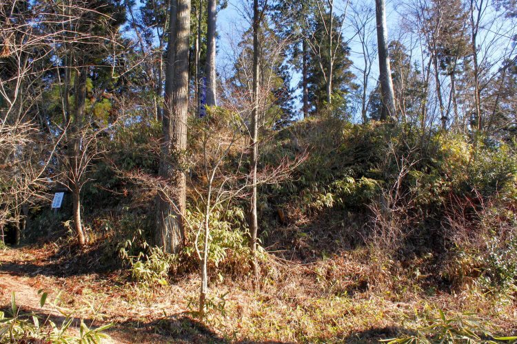 三の丸・本丸間の切岸。大堀切を越えてもこの巨壁が待つ。