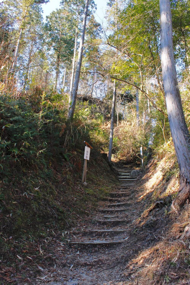 東側の横堀内から本丸・二ノ丸方面を望む。