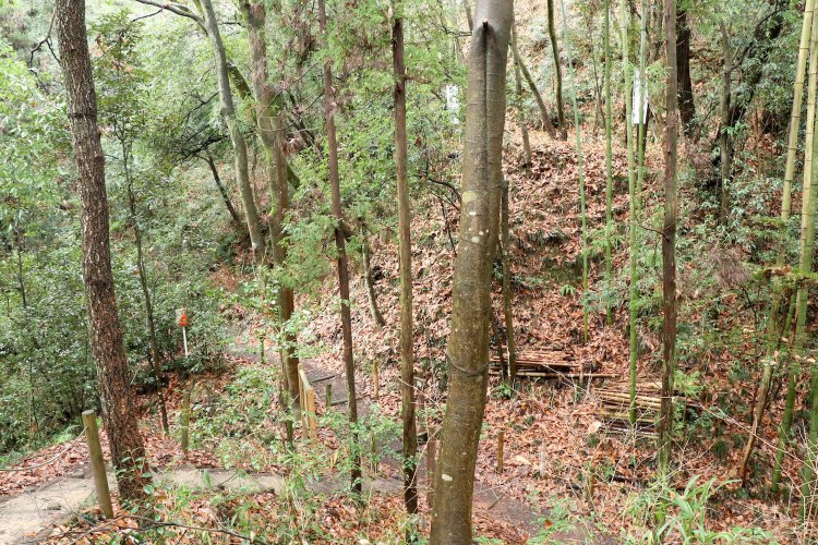 乾曲輪の最奥部。堀切状に道幅が狭まっている。