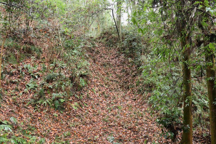 乾曲輪に設けられた竪堀（たてぼり）。はっきりとした痕跡が残る。