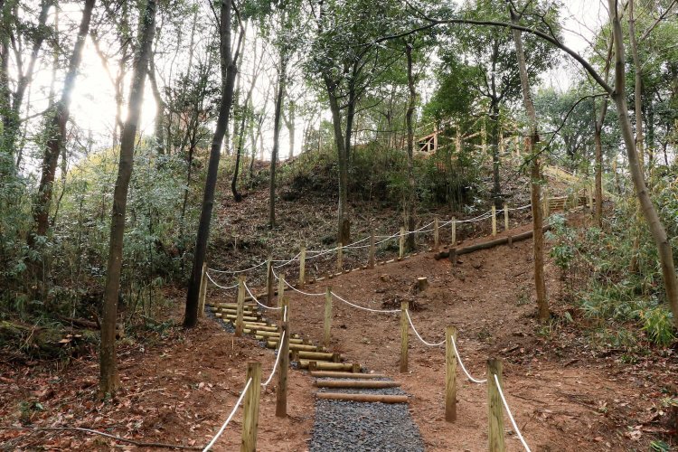 本丸直下の切岸。角度がえげつない。