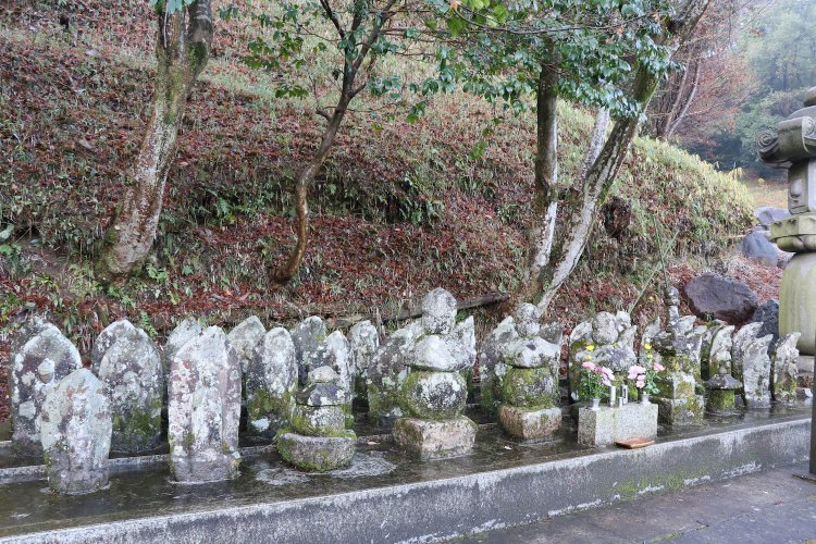 城下の天龍寺にある、明智一族の墓参りも忘れずに。