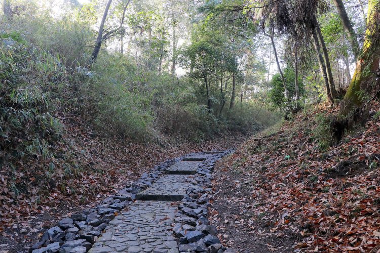  左が東出丸、右が中ノ曲輪。