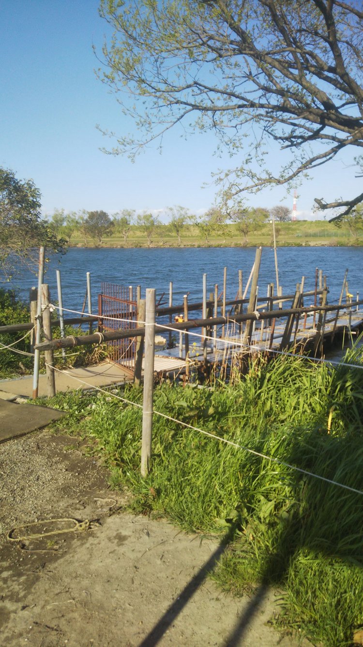 朝日印刷所一同が社内リクリエーションで舟遊び（第6作）。場所は日本ラインでも天竜川でも長瀞でもなく（御前様談）、江戸川です。