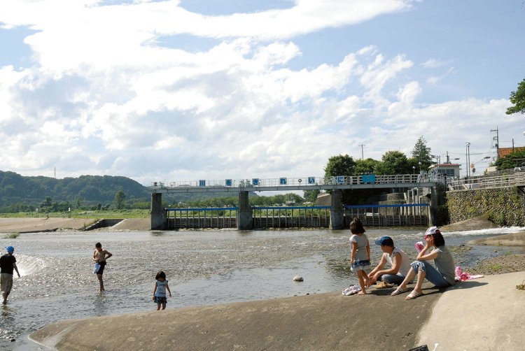 羽村駅からはじめる羽村・福生散歩～玉川上水の水辺を下るネイチャーさんぽコース