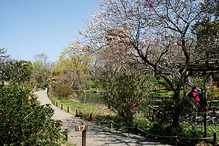 園内には佐藤鞠塢が大切に信仰していた福禄寿が祀られている。