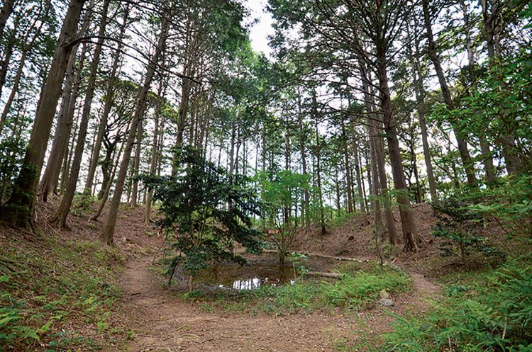 奥社背後のくちなしの池。巨人ダイダラボッチの足跡という伝説もある。