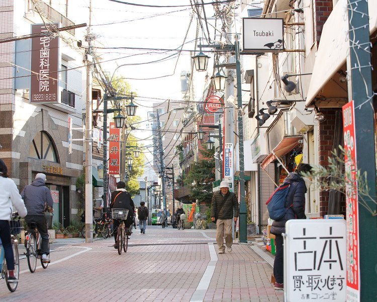 2019年1月撮影。