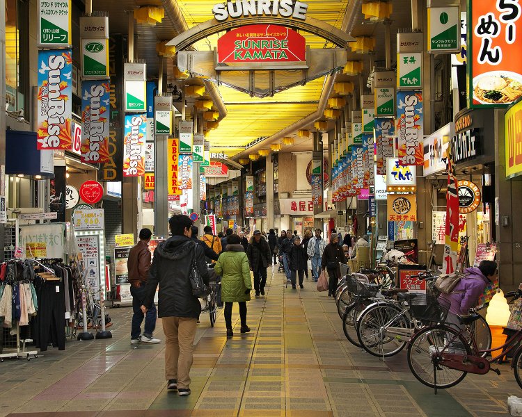 2017年3月撮影。