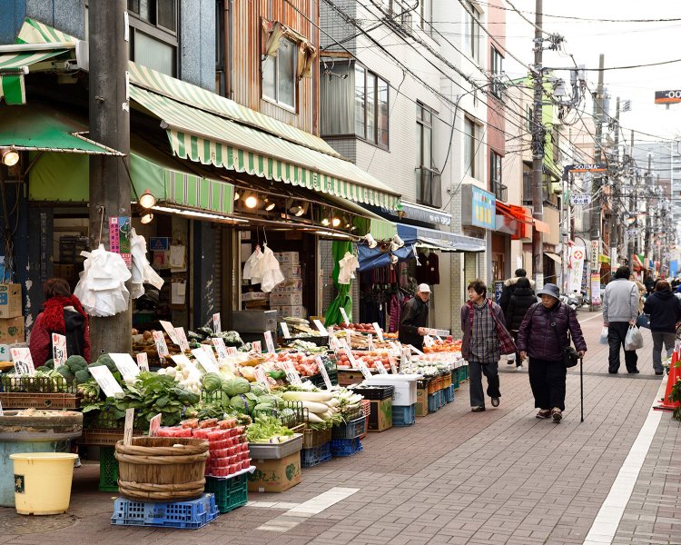 2019年1月撮影。