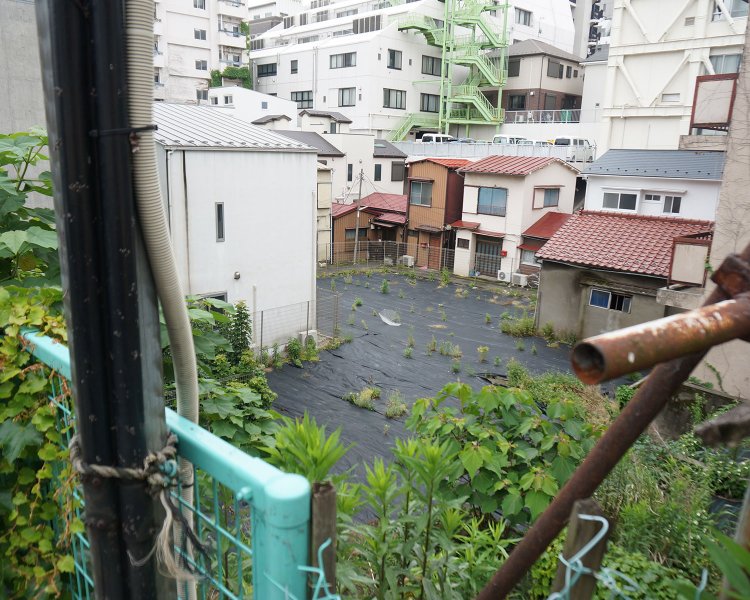 同じ角度で水田のあった場所を撮った写真。