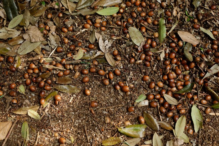 短歌でいつもの景色を変える