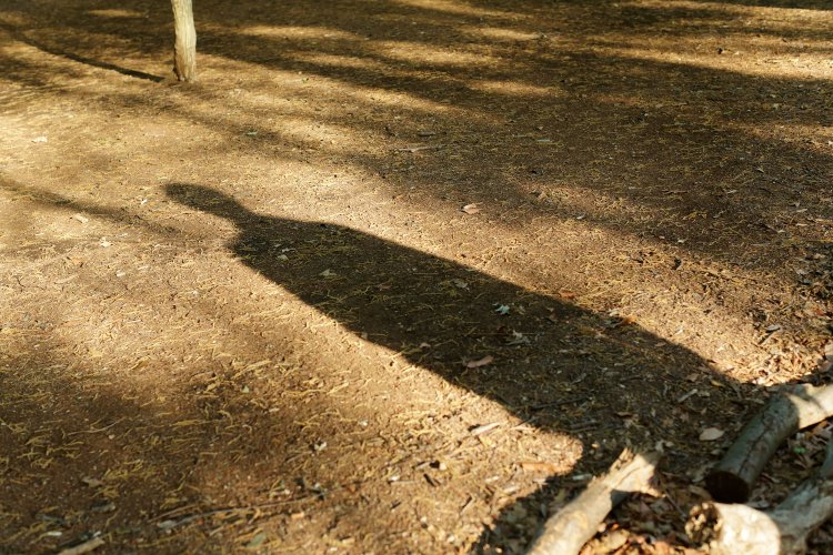 短歌でいつもの景色を変える