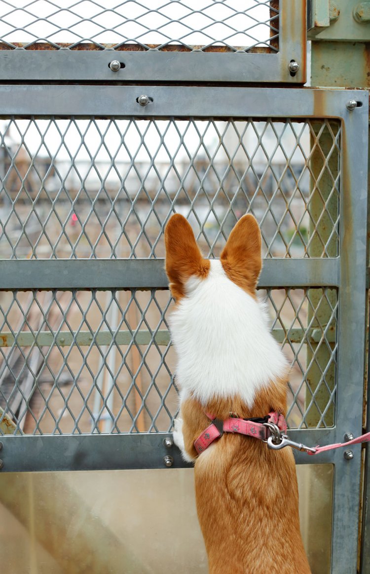 短歌でいつもの景色を変える