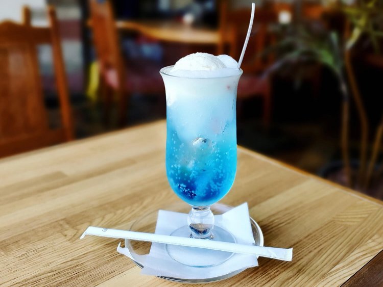 喫茶店のクリームソーダから固めのプリンまで素敵な街を巡る～黒猫スイーツ散歩 荻窪・西荻窪編まとめ～