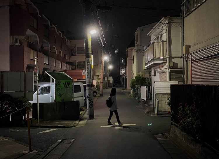 旧町名、暗渠、珍樹、無言板…… 都会の“ご近所闇”を遊んでみた