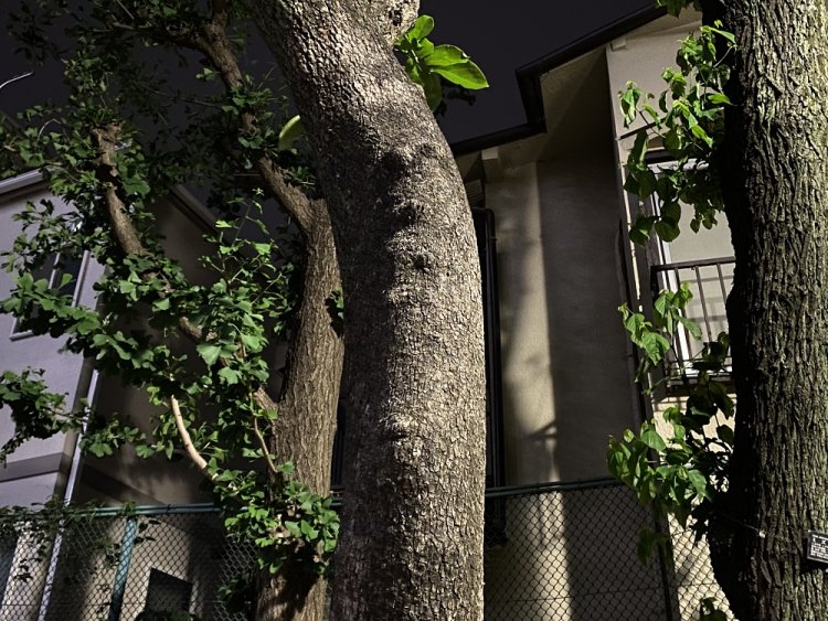 おれはジャ○アン。