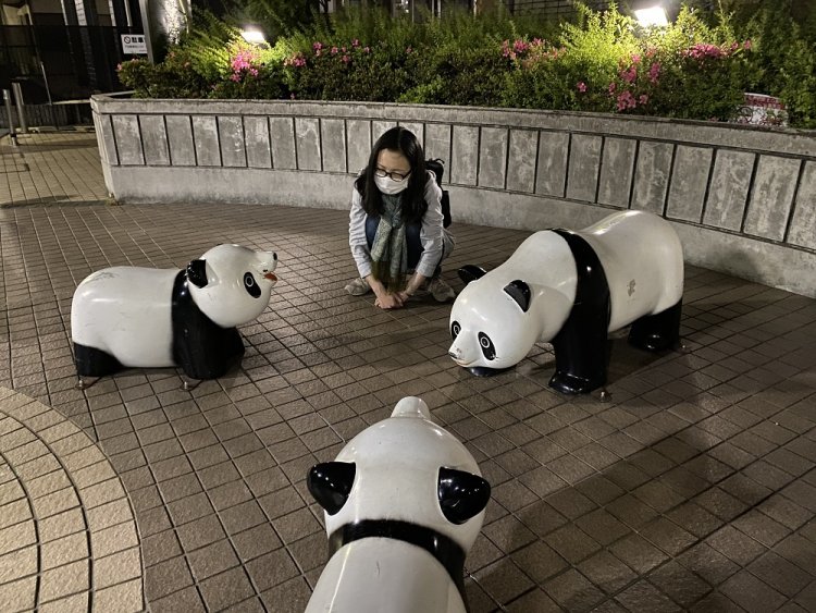 あ、ほんとだ……。