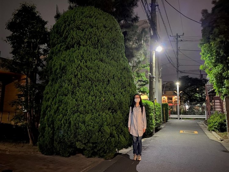 ほらほら。ほんとは左側だけど。