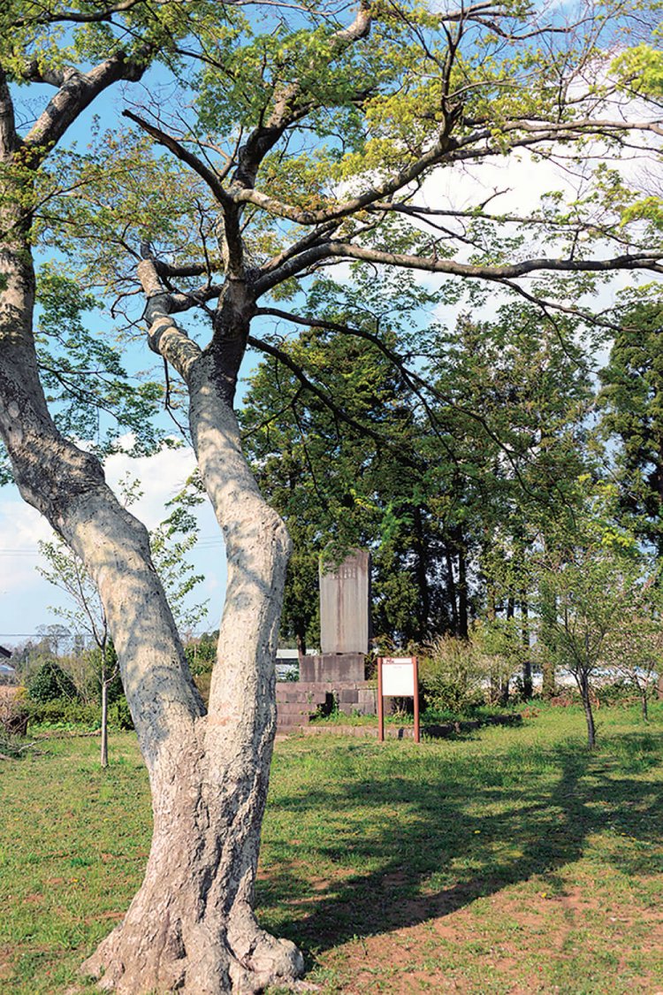 管理事務所のあった両国に立つ顕彰碑。