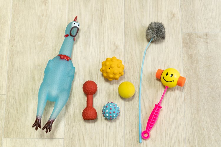 これはごく一部。他にも色々な種類のおもちゃがあります。