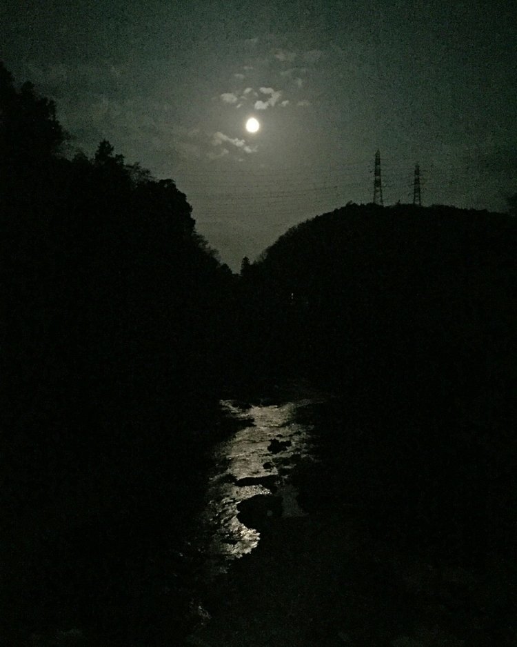 鉄塔親子の月見