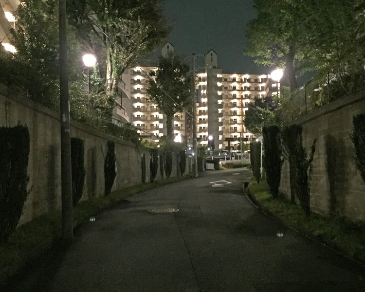 ヨーロッパ中世の古城に入って恐る恐る進むと、左右に並んだ騎士の甲冑が動き出す的な。