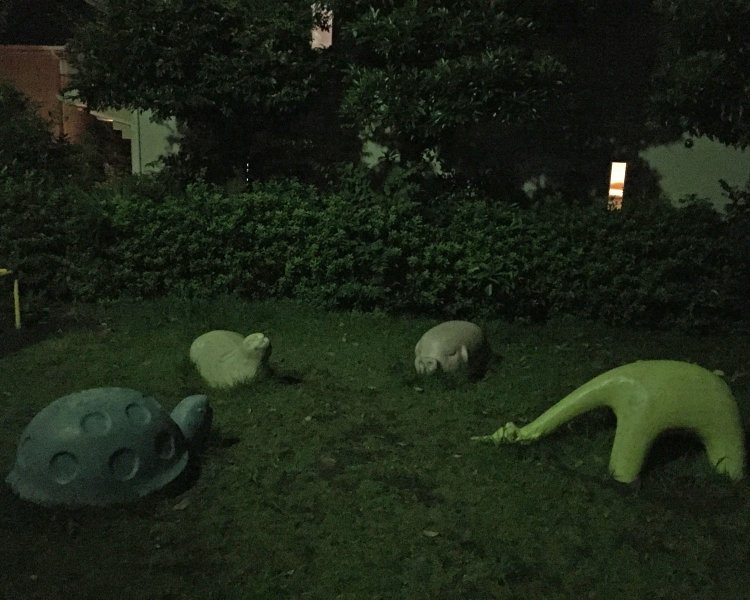 こんな夜遅くに打ち合わせをしている。でも、ブタは話を聞いていないと思う。