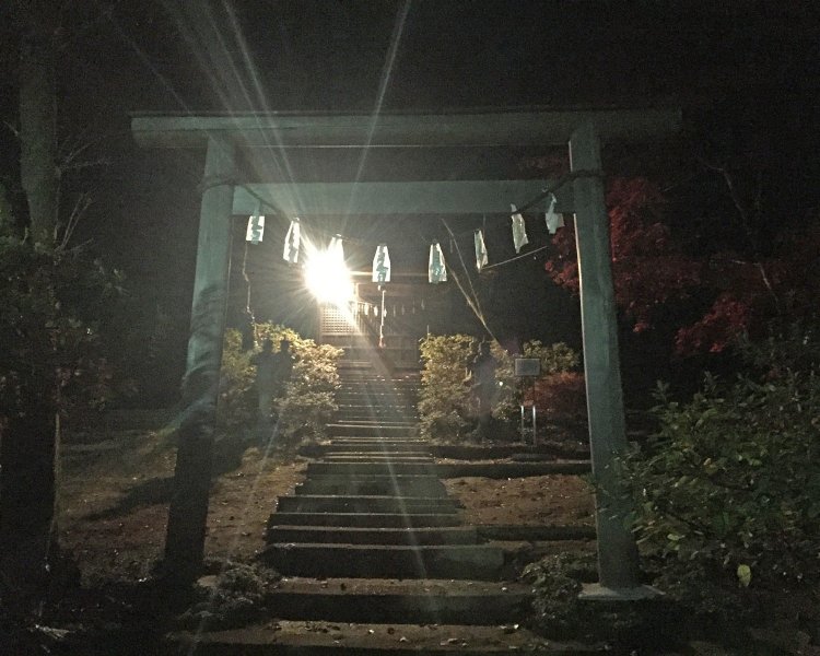 近づくと社殿のセンサーライトがバッと光る。先手を打てば神を降臨させたみたいになる。