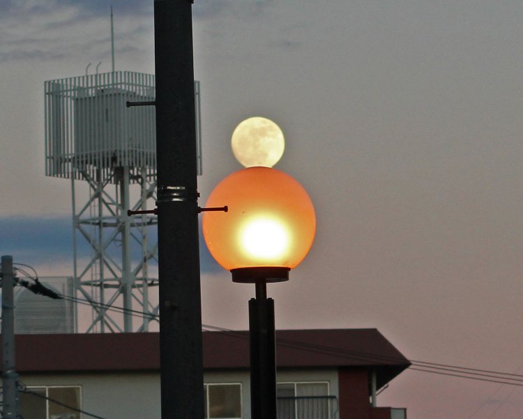 月だるま。夕暮れに丸い外灯に満月が載って、光る雪だるまのように見えた。