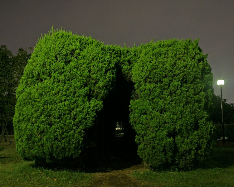 ご近所ミッドナイトハイクから宅闇まで。“ご近所闇”の遊びかた9箇条