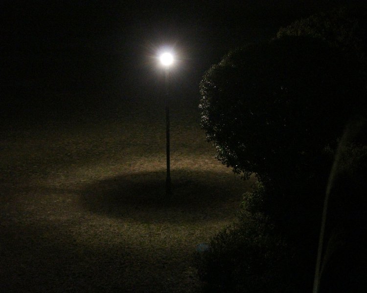 夜の皆既日食。公園灯の下に黒い太陽が現れ、地面が皆既日食っぽくなっている。