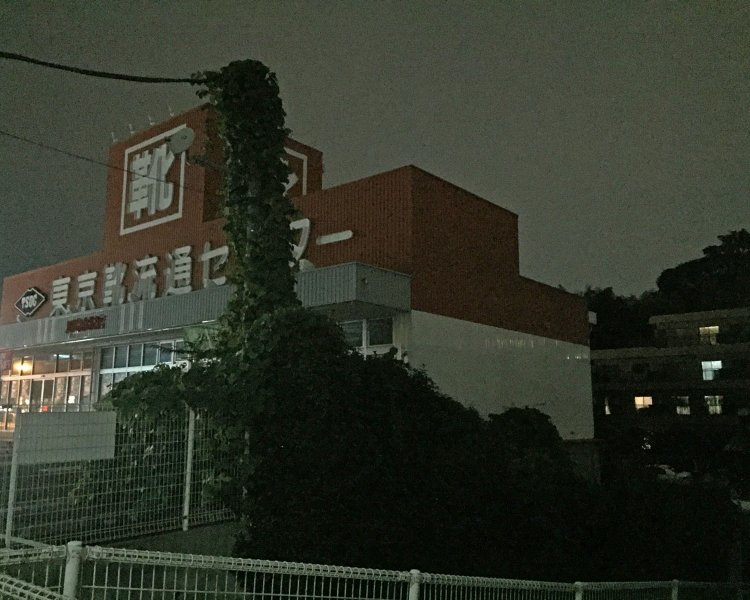 「お手」をするネッシー。