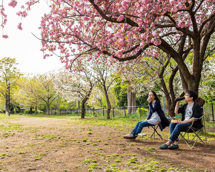 【腰をおろすスポット② 芝生】開放感のある芝生の広場でチェアリングするだけで、気分はピクニック。季節ごとの花を眺める楽しみも。