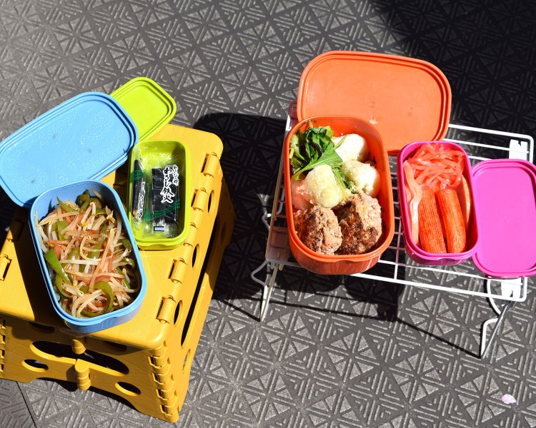 冷蔵庫から調達！ スズキナオのおつまみ弁当。大小4つの箱に、自作のモヤシ炒めや、冷蔵庫の残り物などを自由に詰める。お菓子だけの箱があってもいい。