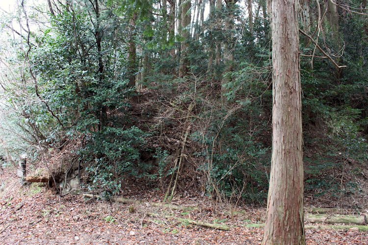 右衛門丸・三の丸間の切岸。落差約3メートル。