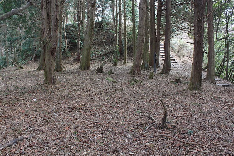 三の丸・二の丸間の切岸。こちらも3メートルほど。