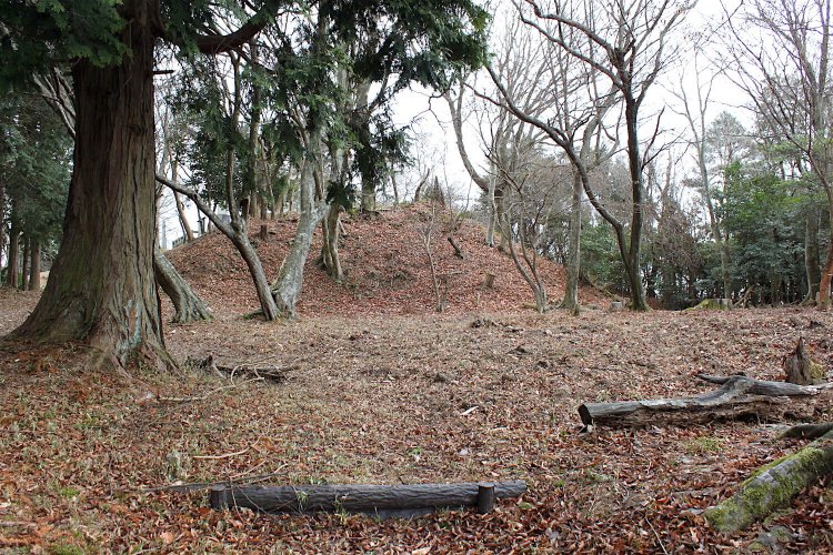二の丸入口より。正面の丘が本丸。
