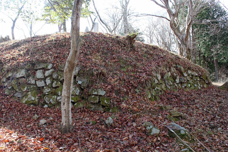 本丸東南側の石垣。八上城でまとまった石垣が見られるのはここだけ。