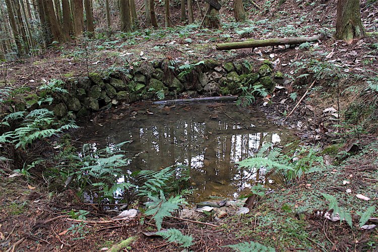 朝路池には石組がしっかり残っている。