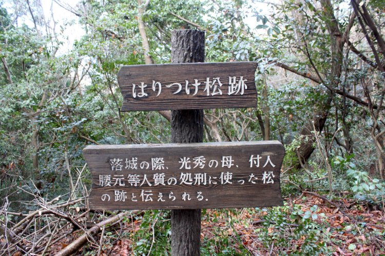 戦国の城を攻める ～明智光秀ゆかりの城編②　八上城～