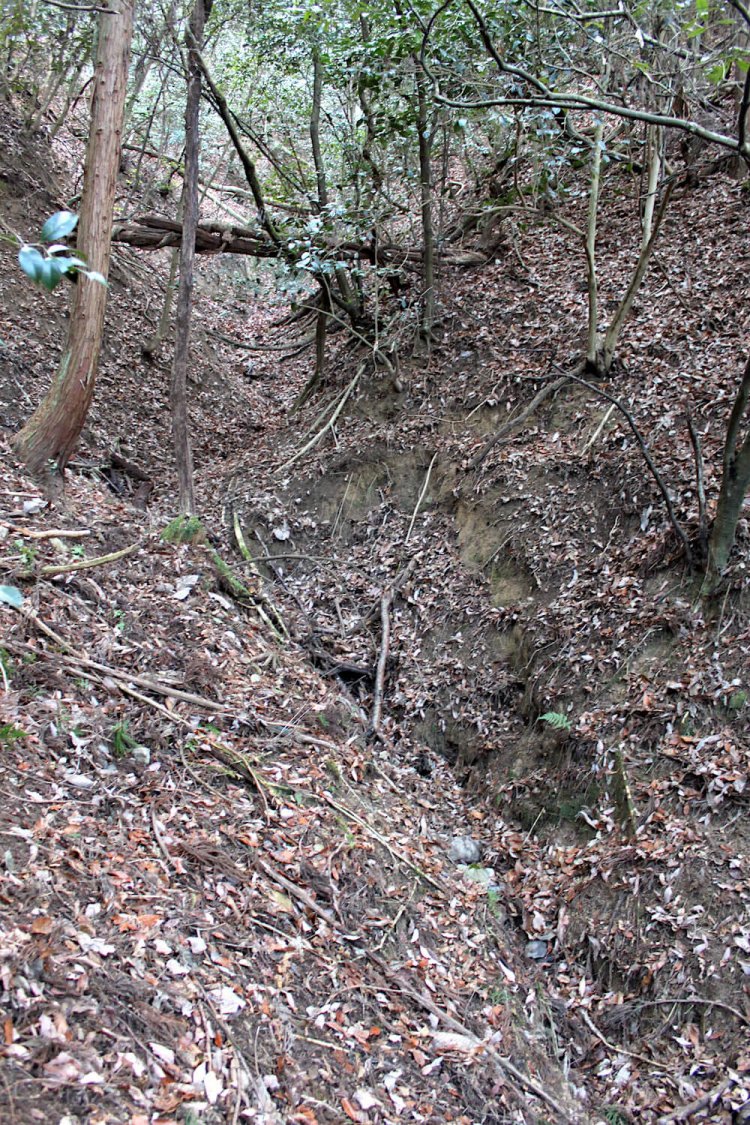 V字の鋭い溪谷。水はほぼ枯れている。