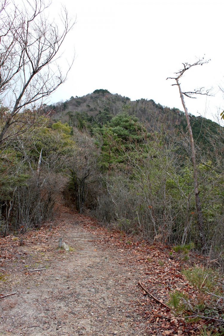下の茶屋丸から見た本丸。あのてっぺんまで登る。