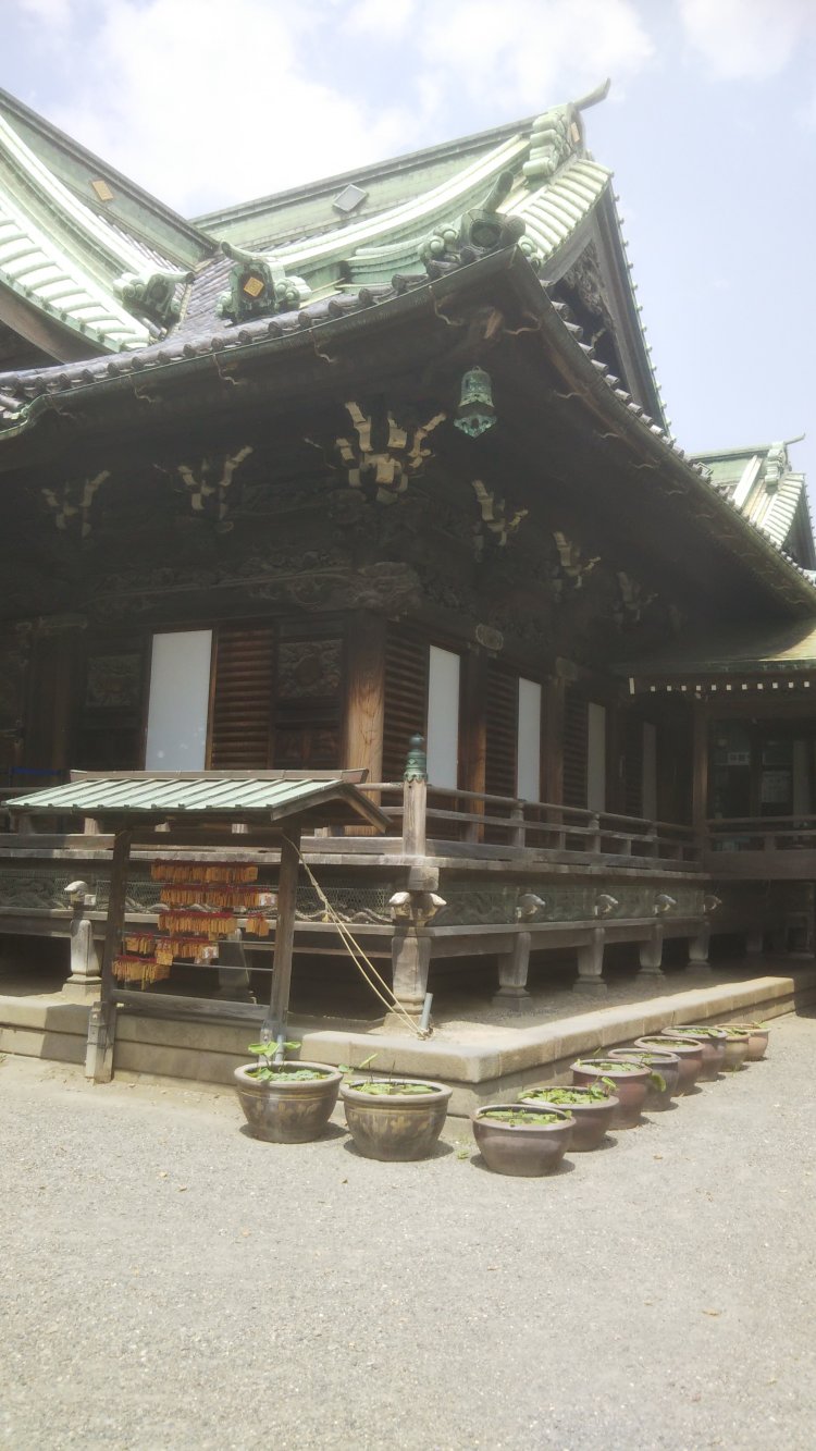 題経寺 帝釈堂の縁側。ここに立つ御前様をローアングルで撮った映像がいちばんカッコイイ！