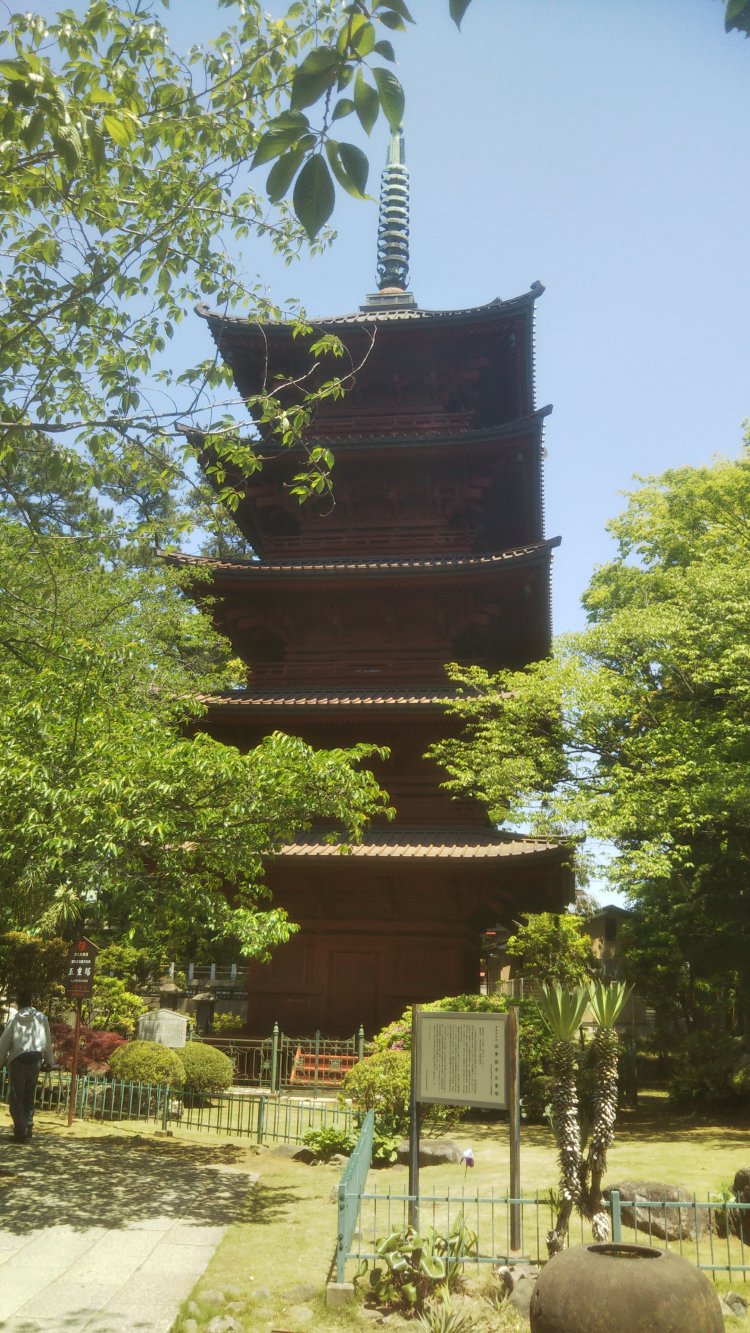 五重塔（ともに国の重要文化財）。境内は静寂とおごそかな雰囲気に包まれ、散策するだけでも身が洗われるよう。